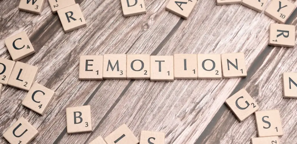Na drewnianym tle widoczna jest ułożona z literowych kafelków gra Scrabble, która tworzy słowo "EMOTION" (ang. emocja). Wokół niego porozrzucane są inne litery, co tworzy wrażenie chaosu, jakby odzwierciedlając wewnętrzne zamieszanie, które często towarzyszy, gdy w grę wchodzą uczucia i emocje. Obrazek przywołuje skojarzenia z poszukiwaniem sensu w tym, co przeżywamy, oraz z próbą uporządkowania własnego wnętrza. Symbolicznie ukazuje, jak z pozornie przypadkowych elementów można ułożyć coś znaczącego – tak jak z rozproszonych myśli rodzą się głębokie przeżycia.